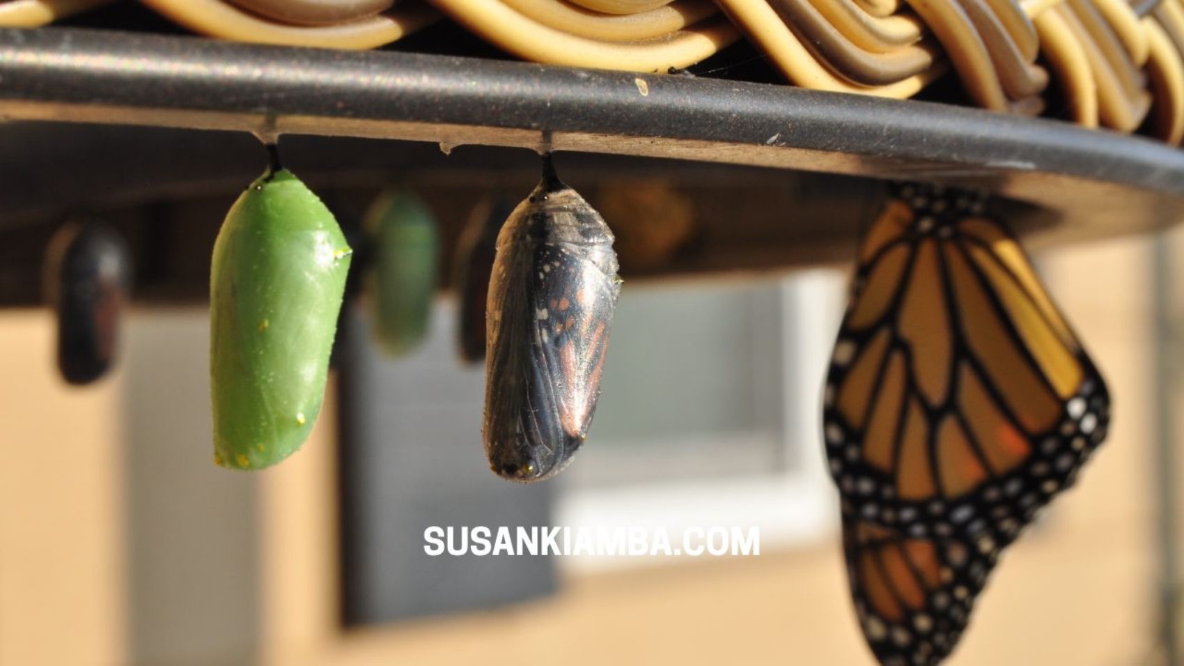 Focus On The Positive – Finding The Good In Change