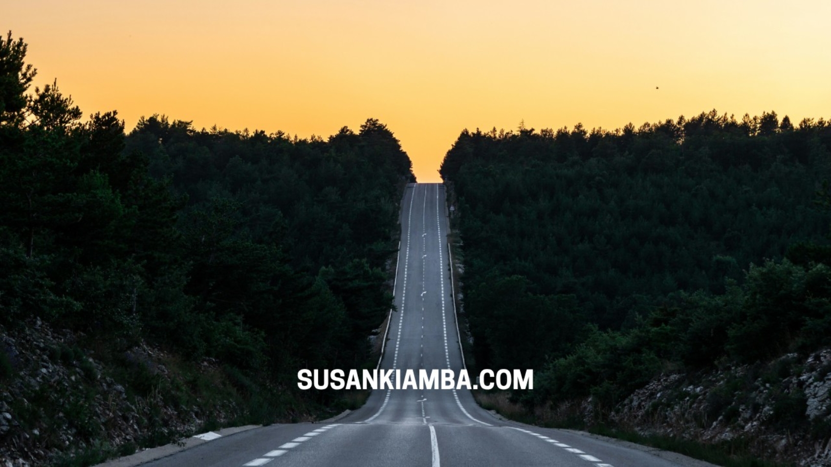 SUSAN KIAMBA POST BANNER (1)
